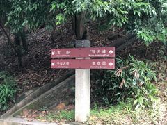 -广州市帽峰山景区