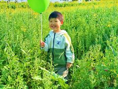-光明小镇欢乐田园