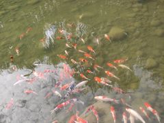 -河北省园博园