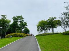 -游心咖啡(青山滨江店)