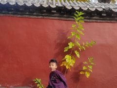 -泰山风景名胜区-普照寺