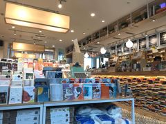 -猫的天空之城概念书店(北戴河蔚蓝海岸店)