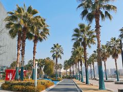 -金沙湖公园
