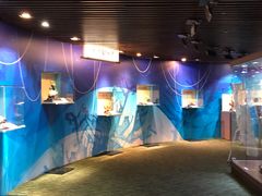 -绮丽珊瑚(台北101旗舰门市店)