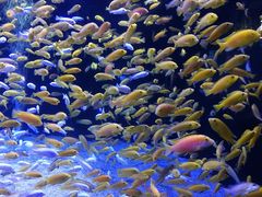 -成都浩海立方海洋公园