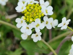 -天津东丽湖风景区