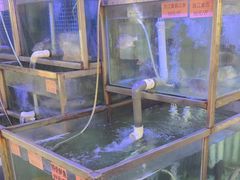-八仔大富楼·河鲜(西江店)