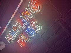 -Darling Queen·Mini·Live·House