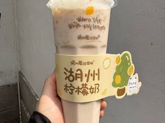 -猫的魔法密林(衣裳街店)
