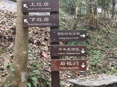 -之江大学-旧址