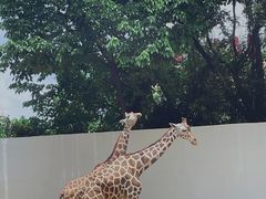 -昆明动物园