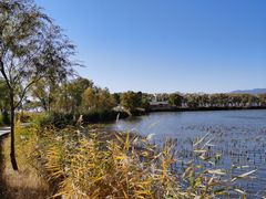 -野鸭湖国家湿地公园