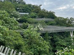 -福道