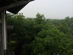 鉴湖大酒店-君澜·绍兴鉴湖大酒店