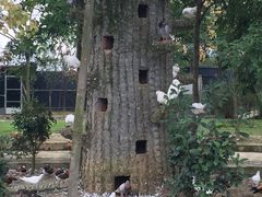 -紫颐香薰山谷景区