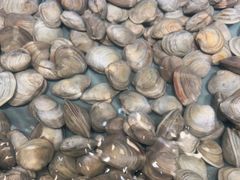 -罗马假日海鲜自助餐厅(星湖广场店)