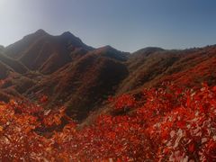 -水峪民俗村
