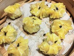 -点都德·毕德寮