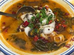 酸菜鱼-稻香酒家·35年老字号(侨光店)