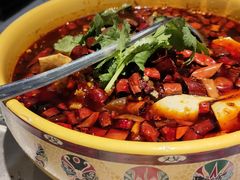 -红辣椒·川菜·火锅(张杨路店)