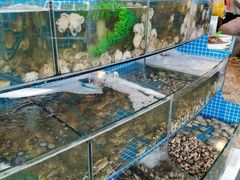 水产区-蟹谢蒸鲜自助餐厅