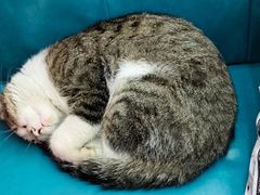 -鑫鸿达·海鲜闽菜热炒小馆(中山路店)