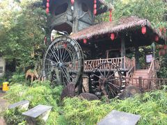-观澜湖生态运动公社