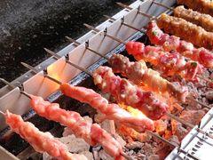 -白玉·朝鲜族烤串(南山店)