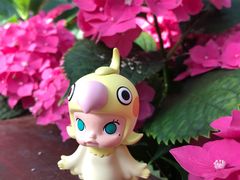 -上海市保健医疗中心