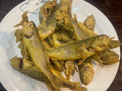 -老家黄墩小错鸡·活海鲜