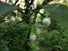 -经纬·泓汇地标家园