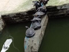 -广州长隆飞鸟乐园