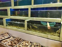水产区-王潮活海鲜自助·蒸汽海鲜