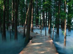 -东湖落雁景区