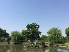 -鹅湖玫瑰文化园