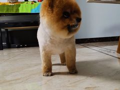 -北京恒爱动物医院(清景园分院)