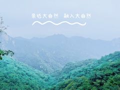 -大岭沟猕猴桃谷风景区