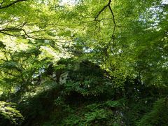-三千院
