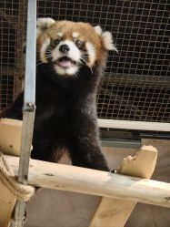 -Zoolung Zoolung动物主题公园(海信广场店)