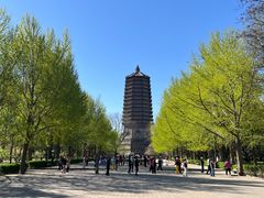 -玲珑塔公园