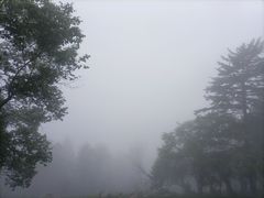 -老秃顶草原景区