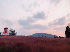 -羊亭河湿地公园