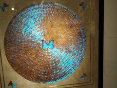 -上海昆虫博物馆