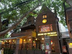 -Boxing Cat Brewery拳击猫精酿啤酒馆(永福店)