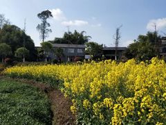 -新健小吃(承德街店)