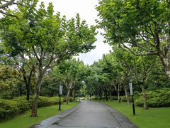 -黄兴公园