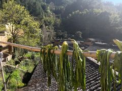 -杨家堂村