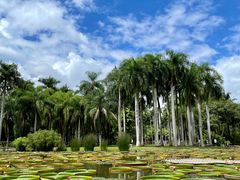 -中国科学院西双版纳热带植物园