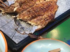 -向外鱼乐·土菜·虹鳟鱼