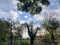 -翠湖公园